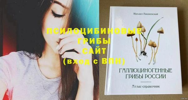 спиды Алексеевка