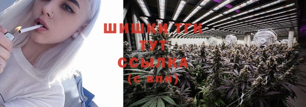 индика Сафоново