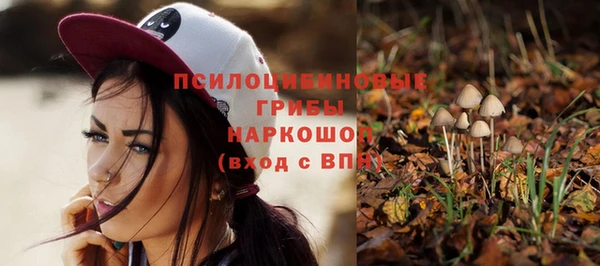 спайс Инсар