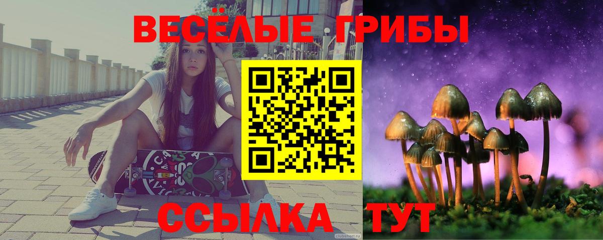 Псилоцибиновые грибы GOLDEN TEACHER Заинск