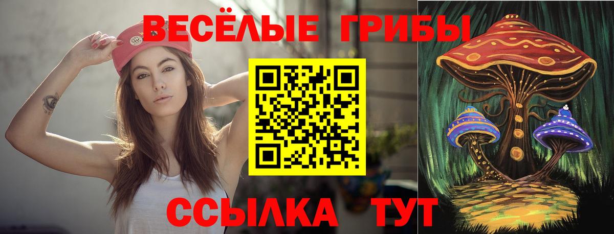 Заинск  Псилоцибиновые грибы мицелий  Псилоцибиновые грибы Psilocybine cubensis  Вход с VPN 